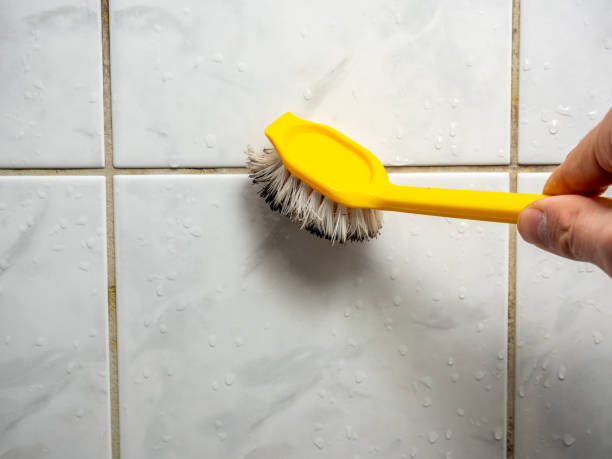Best Attic Mold Removal  in Pleasant Hill, TX