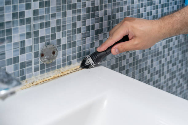 Trusted Pleasant Hill, TX Mold Removal Experts