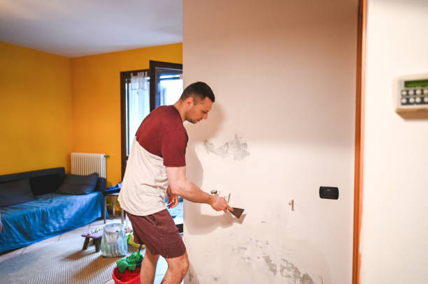 Mold Testing and Removal in Pleasant Hill, TX